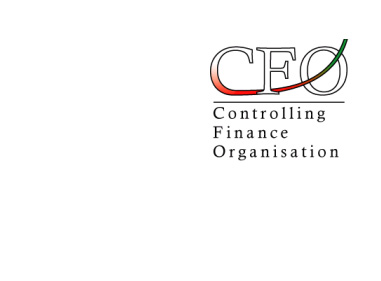 CFO Controlling Finance Organisation